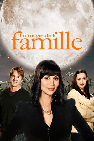 La Magie de la famille (2011)