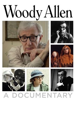 Woody Allen - A Documentary (2011)