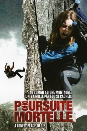 Poursuite mortelle (2011)