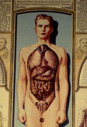 Natural History (1989)