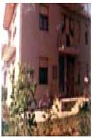 Виновник (1983)