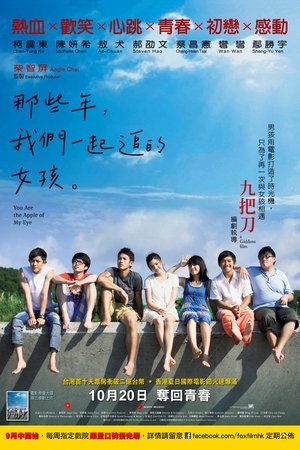 那些年，我們一起追的女孩 (2011)