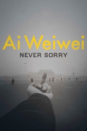 Ai weiwei : sans remords (2012)