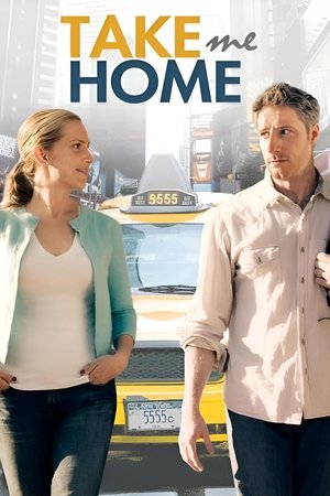 L'Amour au compteur (2011)