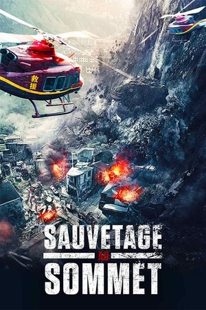 Sauvetage au sommet (2021)