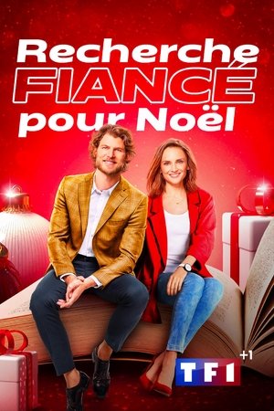 Recherche fiancé pour Noël (2021)