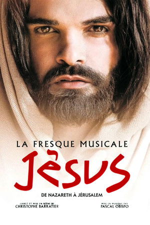 Jésus, de Nazareth à Jérusalem (2017)
