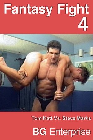 Fantasy Fight 4 (1995)