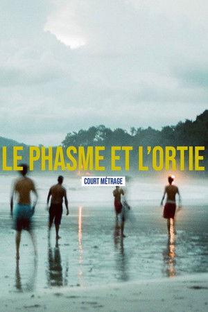 Le phasme et l'ortie (2021)