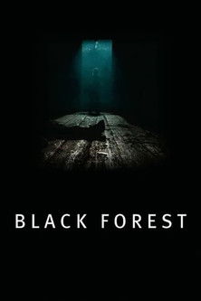 Les Secrets de la forêt noire (2012)