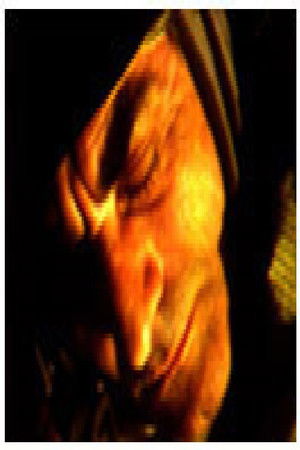 Мистериозниот предмет (1982)