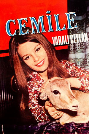 Cemile: Yaralı Ceylan (1970)