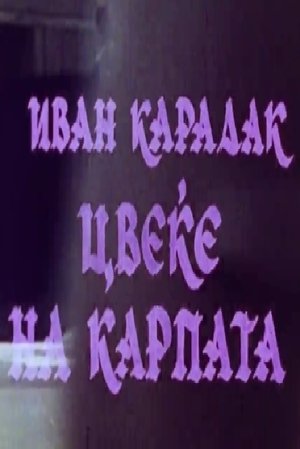 Цвеќе на карпата (1989)