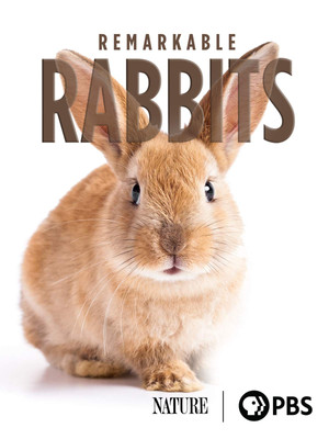 Remarkable Rabbits (2020)