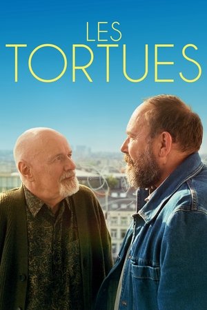 Les tortues (2024)