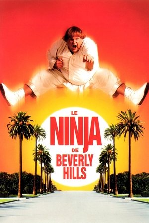 Le Ninja de Beverly Hills (1997)