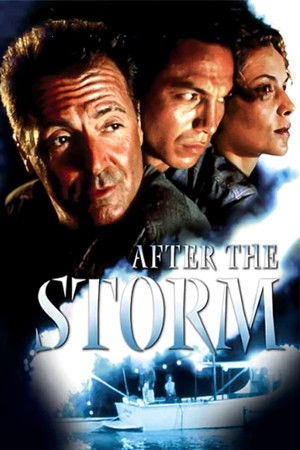 After the Storm (2001)