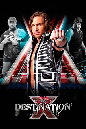TNA Destination X 2013 (2013)