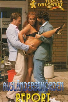 Ausländerbehörden Report (1995)