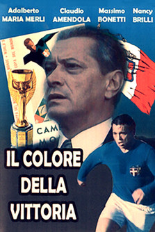 Il colore della vittoria (1990)