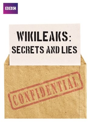Wikileaks - Secrets et mensonges (2012)