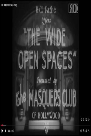 The Wide Open Spaces (1931)
