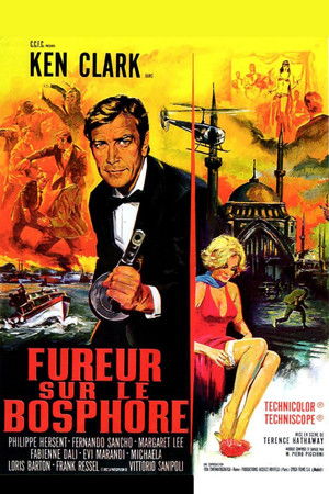 Fureur sur le Bosphore (1965)