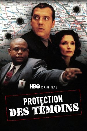 Témoin sous contrôle (2011)