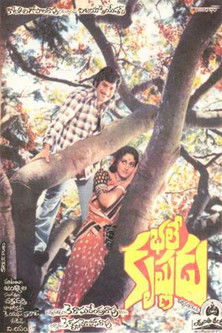 భలే కృష్ణుడు (1980)