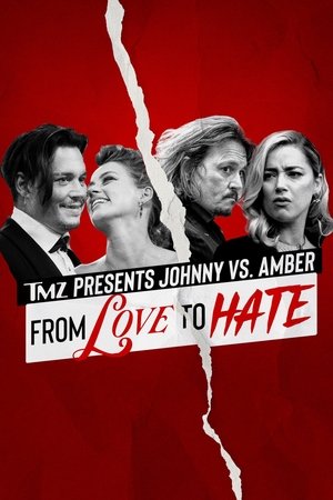 TMZ Presents | Johnny vs. Amber: From Love to Hate (2022)