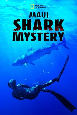 Maui Shark Mystery (2022)