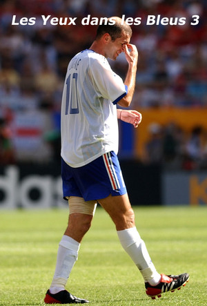 Les Yeux dans les Bleus 3 : La Désillusion (2002)