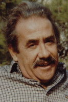 Γιάννης Νεγρεπόντης